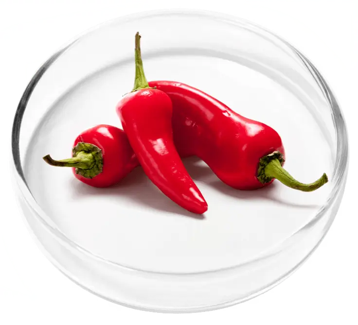 Cayenne Fruit Extract Ingredient in Glass Dish